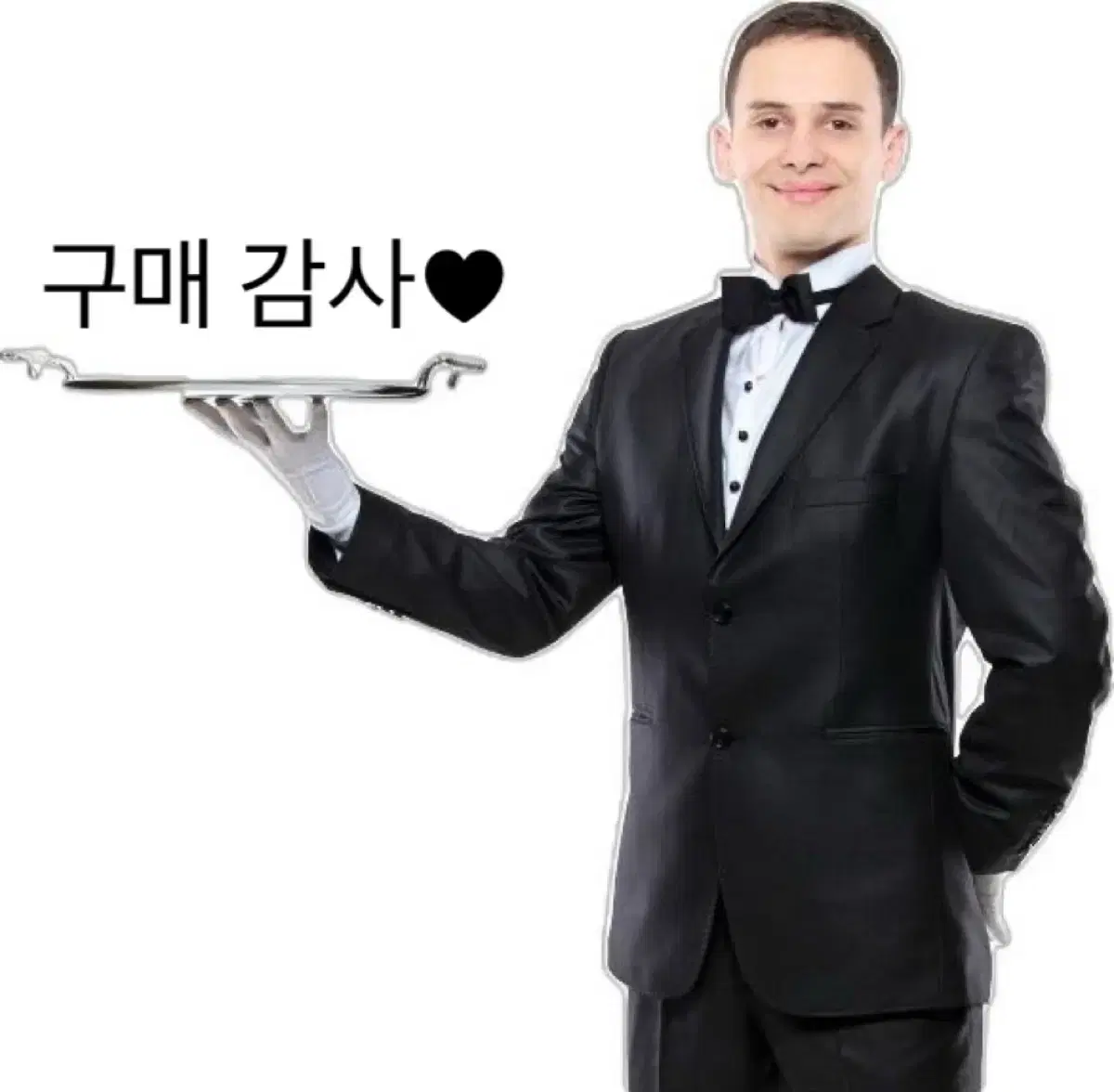 이누야샤 셋쇼마루 피규어